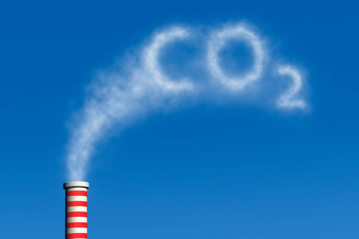 Entendendo os Créditos de Carbono: Propósito e Funcionamento